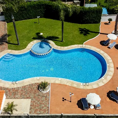 Naranjos 2* A Revolta