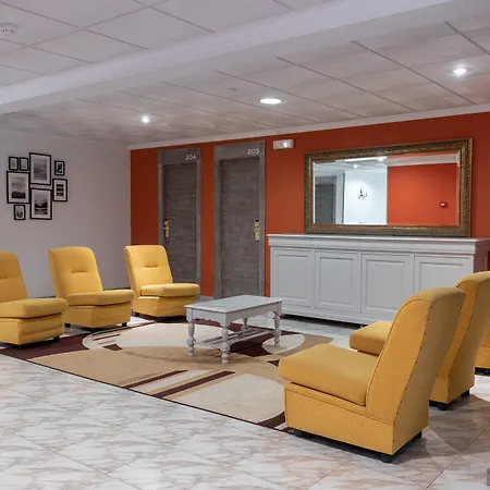 Naranjos 2* A Revolta